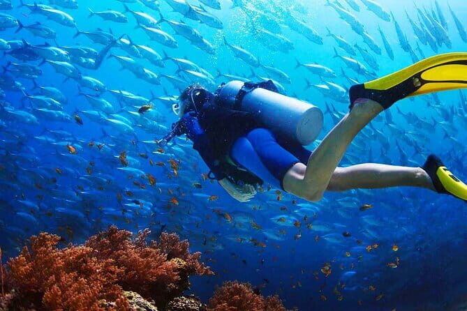 2 Fun Dives in Racha Yai or Noi for Certified Divers - Who This Tour Fits Best (and Who Might Skip It)