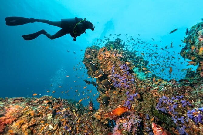 3 Fun Dives in Phi Phi islands for Certified Divers - Why This Phi Phi Scuba Day Works for Certified Divers