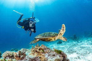 3 Fun Dives in Phi Phi islands for Certified Divers - Getting Started: Chalong Pier at 7:00 am