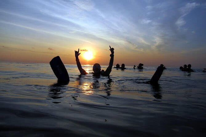 3 Fun Dives in Phi Phi islands for Certified Divers - Price and Value: What You’re Really Paying For