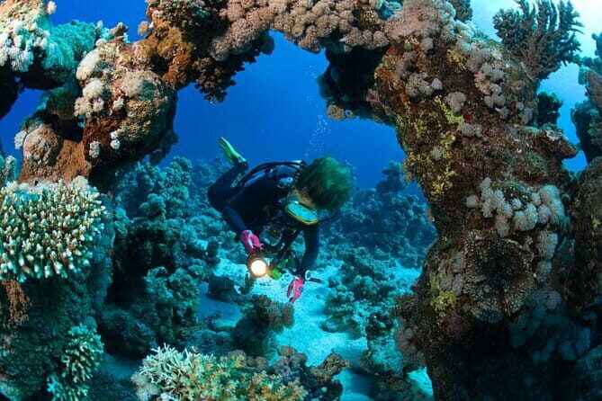3 Fun Dives in Racha Yai and Racha Noi for Certified Divers - Racha Yai and Racha Noi: why these islands work for a full-day scuba plan
