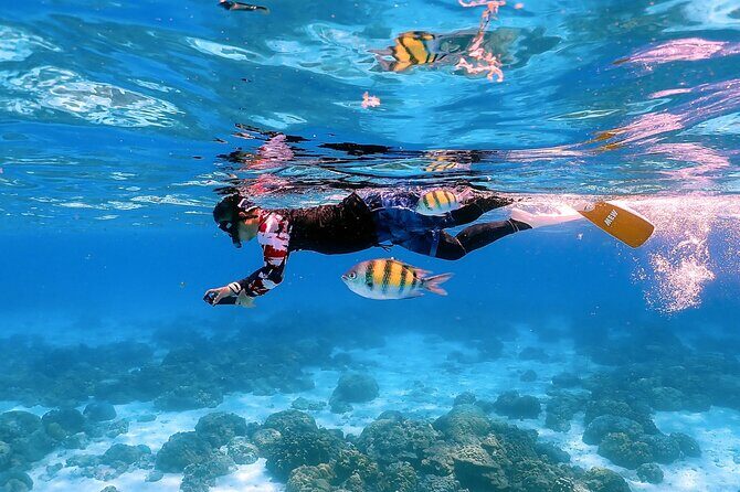 3-Island Speedboat Tour: Racha Noi, Racha Yai & Maiton - Maiton Island finish: reefs and a more luxury-style mood