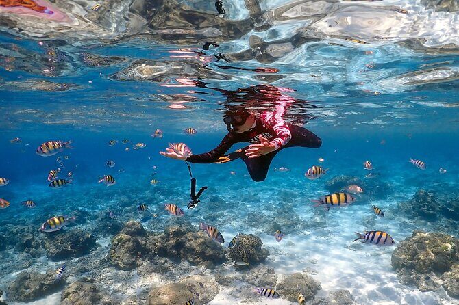 3-Island Speedboat Tour: Racha Noi, Racha Yai & Maiton - What’s included, and why it affects the real value