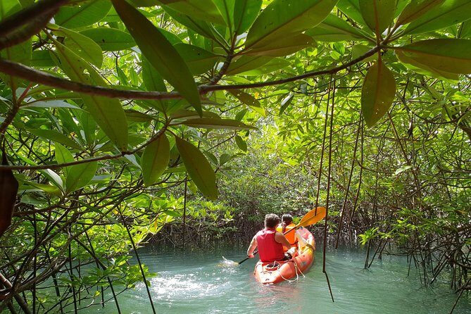 4-Waters Eco-Adventure Trip from Phuket Including Lunch - Should you book the 4-Waters Eco-Adventure?