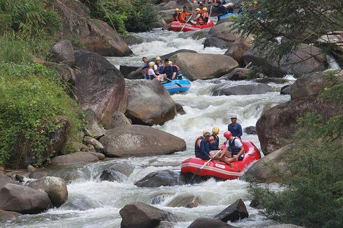5 km White Water Rafting + ATV 1 Hour Tour From Phuket - Cave temples: Wat Suwan Kuha and the Monkey Cave stop