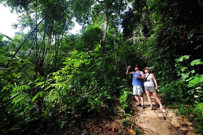 5km Rafting, ATV & Flying Fox Adventure Trip - Flying fox/zipline: short aerial time, built structure