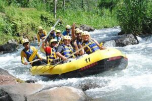 7km White Water Rafting Adventure Tour From Phuket - Phang Nga rafting value: what $52.72 really buys