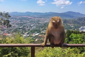 Amazing Phuket Sunset: Promthep Cape, Monkey Hill, Chillva Market - Old Phuket Town at 5 pm: painted street photos without the long detour