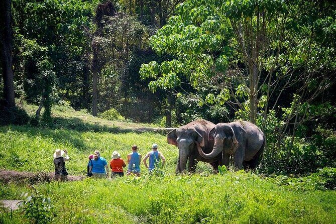 An Afternoon with the Elephants at Phuket Elephant Sanctuary - Entering the Phuket Elephant Sanctuary setup (and why it matters)