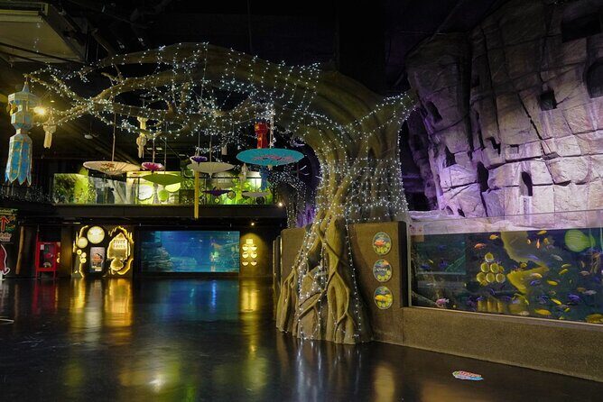 Aquarium Phuket and AR Trick Eye Museum Combo Tickets - Stop 1: Aquaria Phuket—Thailand’s biggest aquarium, indoors