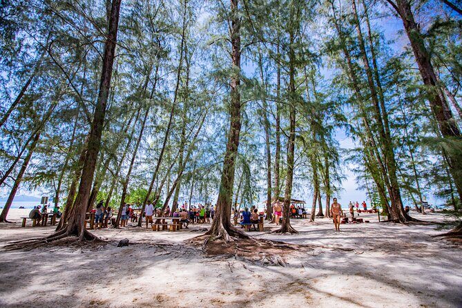 Bamboo Island and Phi Phi Island Full Day Tour From Phuket - Stop-by-stop: Maya Bay, Samah Bay, Pileh Cove, Monkey Beach