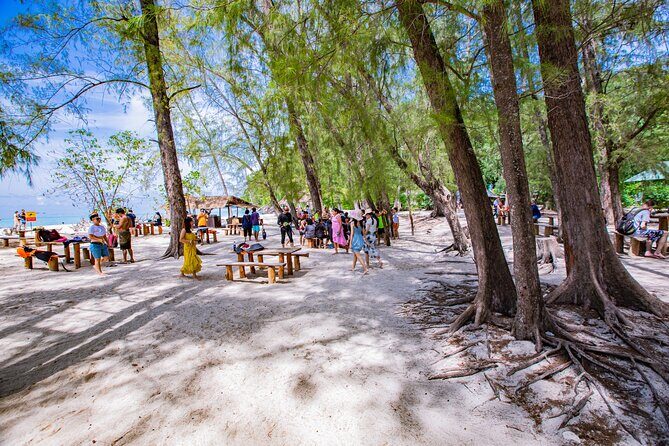 Bamboo Island and Phi Phi Island Full Day Tour From Phuket - Bamboo Island: snorkeling over the reef and a second beach chance
