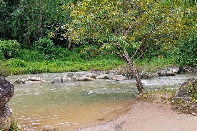 Bamboo Rafting and Jungle Tour From Phuket - Suwankuha (Monkey Cave) Temple: Plan for Shoulders and Monkey Energy