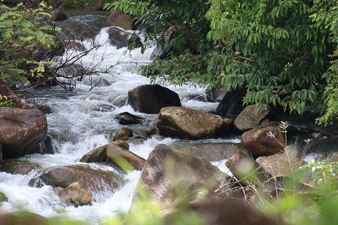 Bamboo Rafting, ATV Riding and Zip Line Tour From Phuket - Zip line 150m: a short sky ride with big-photo potential