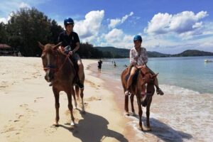 Beach Horse Riding Activity in Phuket - Meeting at Kamala Horse Riding Club (and why that helps)