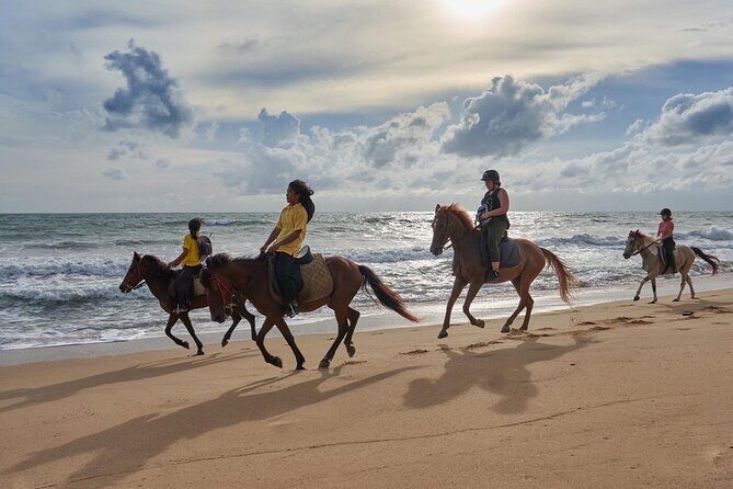 Beach Horse Riding Activity in Phuket - How the ride actually works once you hit the sand