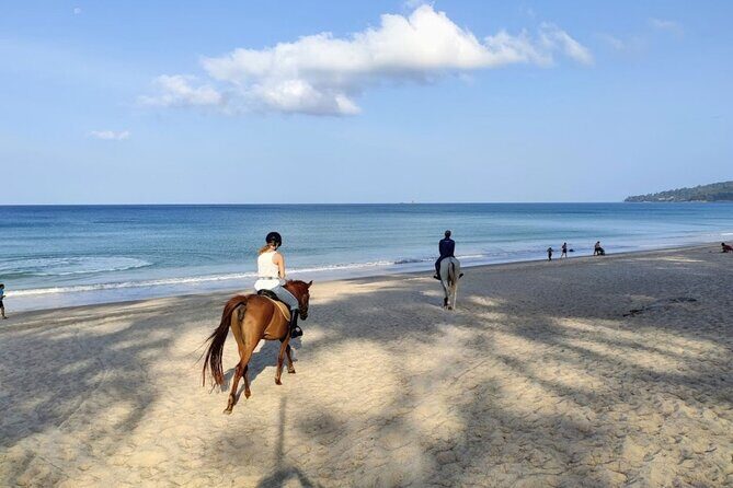 Beach Horse Riding Activity in Phuket - Horses, tack, and safety rules that keep it real