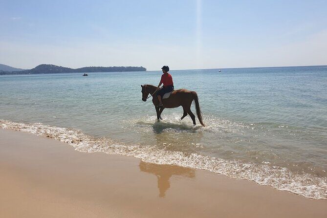 Beach Horse Riding Activity in Phuket - Who this Phuket beach horse ride is for