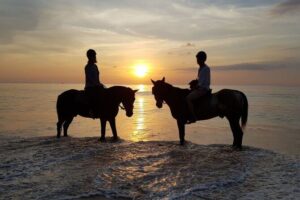 Beach Horse Riding At Sunset In Phuket - The 1-hour sunset ride: what you’ll actually do