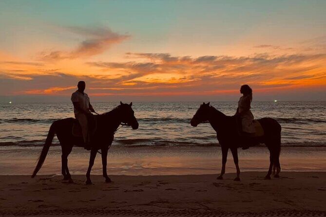 Beach Horse Riding At Sunset In Phuket - Who should book this Phuket sunset horse ride?