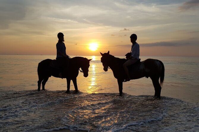 Beach Horse Riding At Sunset In Phuket - The 1-hour sunset ride: what you’ll actually do