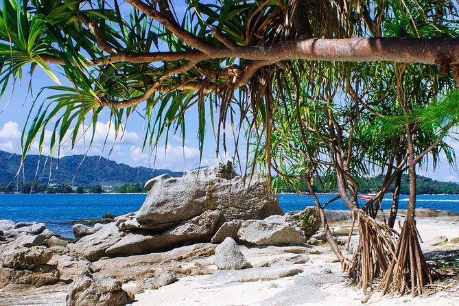 Bon Island Tour by longtail boat with Lunch - Price and Value: Is $65.11 a Good Deal?