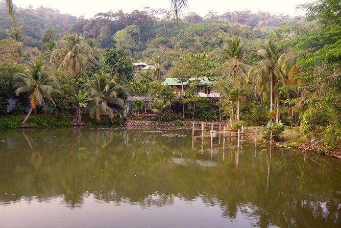 Choose Your Own Dishes: Half-Day Thai Cooking Class in Phuket - A Phuket cooking class that teaches you what to buy and what to cook