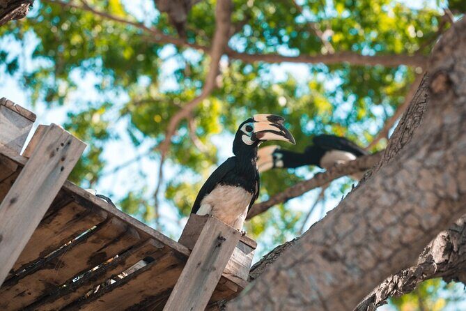 Coral and Racha Islands from Phuket - Key Points You’ll Care About