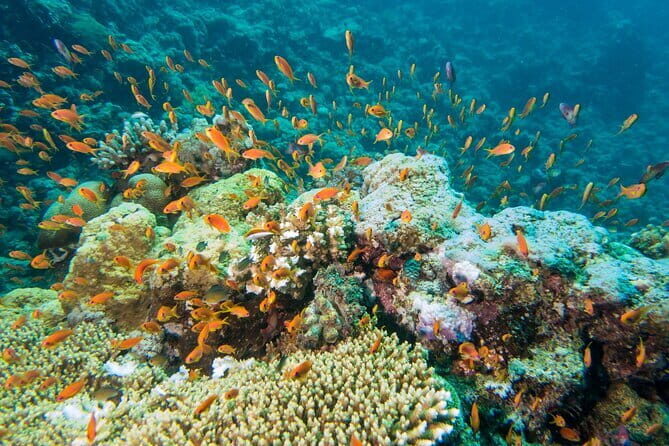 Coral Island Banana Beach Snorkeling and Clear Kayak Tour - Clear Kayak Time: Seeing Under the Water Without Guesswork