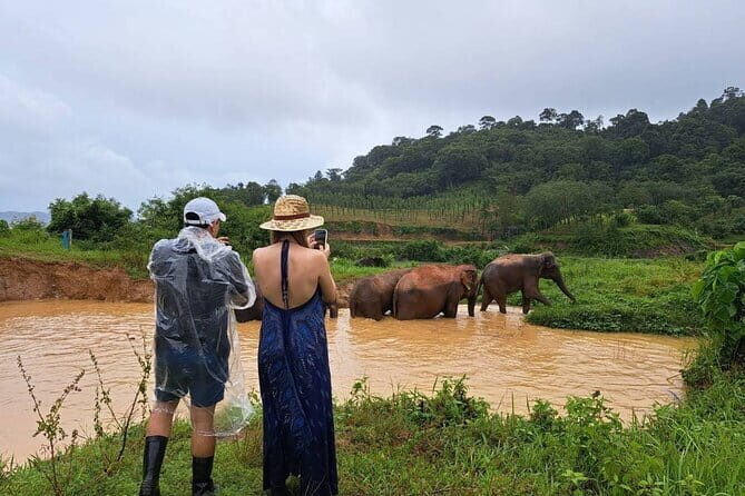 Elephant Nature Experience with Lunch at Bukit Elephant Park - Why Bukit Elephant Park feels different: quiet rules, safety, and true sanctuary living