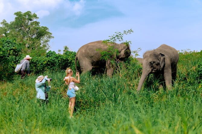 Elephant Nature Experience with Lunch at Bukit Elephant Park - Price and logistics: does $87.61 feel fair for what you get?
