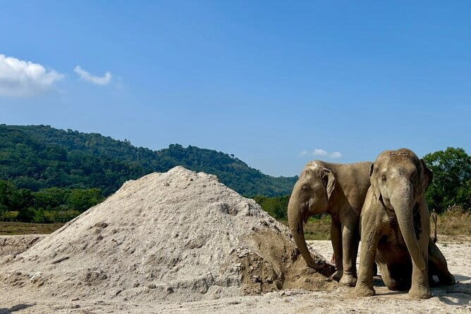 Elephant Nature Experience with Lunch at Bukit Elephant Park - Practical tips to make your visit smoother in Phuket weather