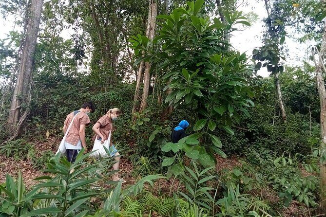 Elephant Sanctuary Small Group Tour in Phuket - Key things to know before you go