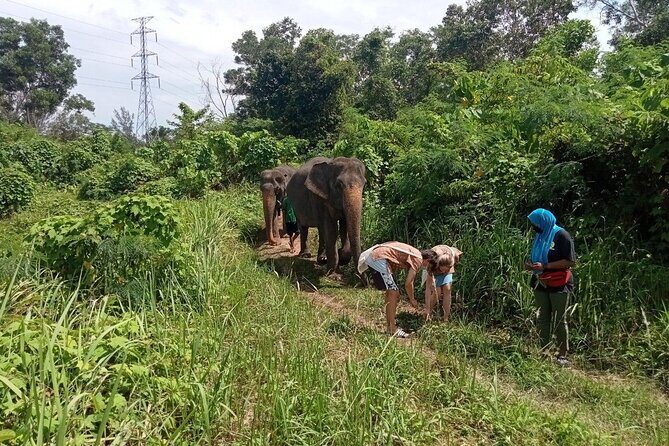 Elephant Sanctuary Small Group Tour in Phuket - Guides you might meet: Mr. Yu, Kai, Mayya, and Thod