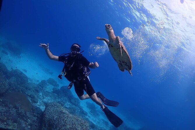 Explore Scuba Diving at Racha Yai Island from Phuket - Key highlights to know before you go