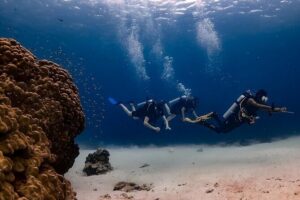 Explore Scuba Diving at Racha Yai Island from Phuket - PADI Discover Scuba Diver: how the course actually helps you