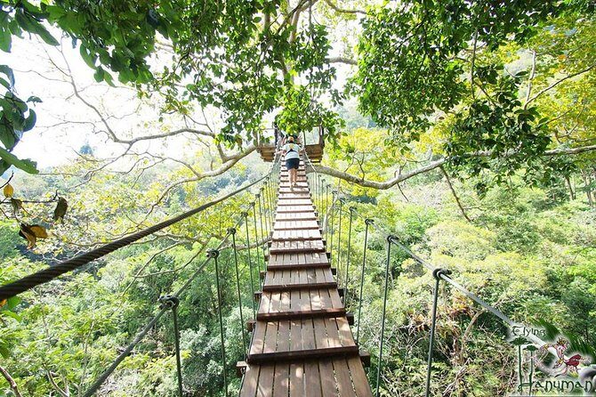 Flying Hanuman Zipline Adventure – Soar Through the Jungle! - Flying Hanuman in Phuket: jungle views beyond the beach