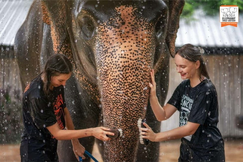 From Phuket: Elephant Jungle Sanctuary Feed and Shower Trip - Key Things I’d Prioritize Here