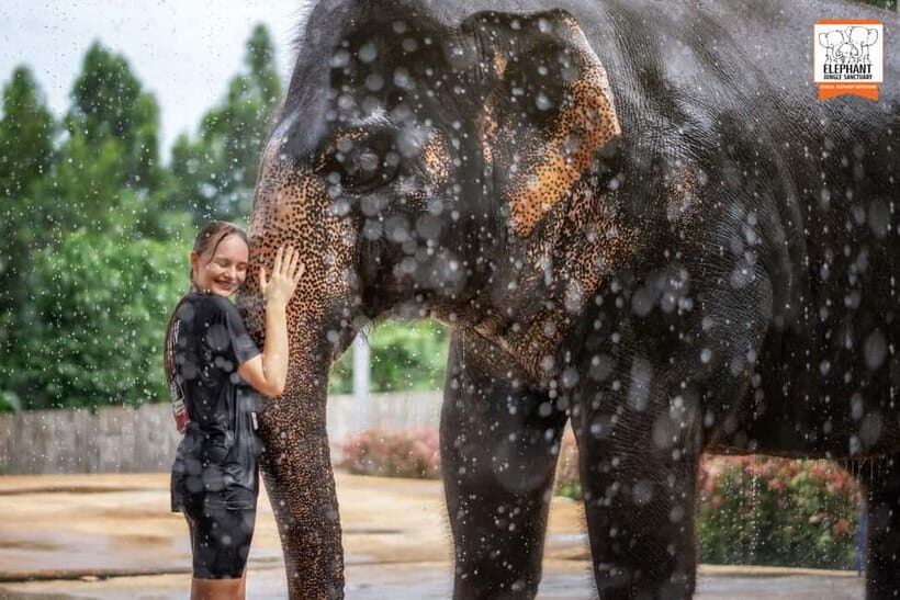 From Phuket: Elephant Jungle Sanctuary Feed and Shower Trip - How the 90-Minute Feed and Shower Works in Phuket