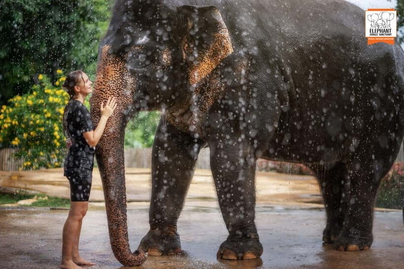 From Phuket: Elephant Jungle Sanctuary Feed and Shower Trip - Photography, Drinks, and the Small Comforts That Add Up