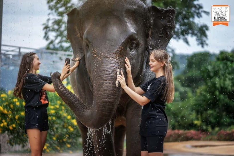 From Phuket: Elephant Jungle Sanctuary Feed and Shower Trip - What to Pack: Your Rain-Day Checklist for the Shower