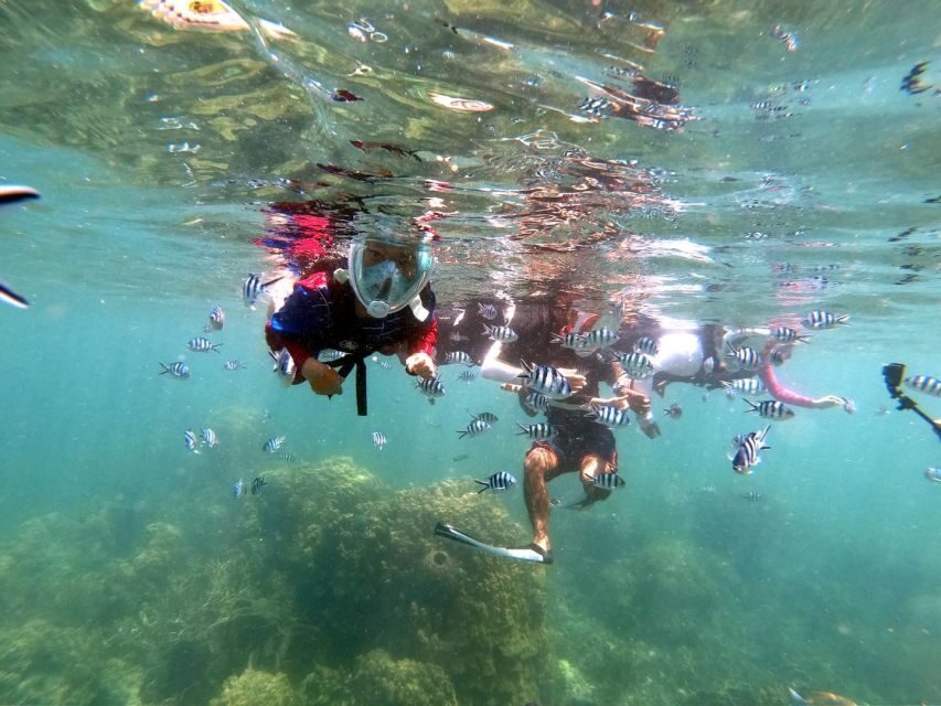 From Phuket: Phi Phi, Maya Bay, & Khai Islands Premium Trip - Monkey Beach: You’ll See Them, But Not Walk On Them