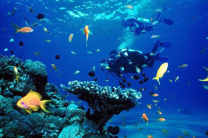 Full-Day Beginner Scuba Course with Private Tuition, Racha Yai - Morning flow: from Chalong Pier to the training zones