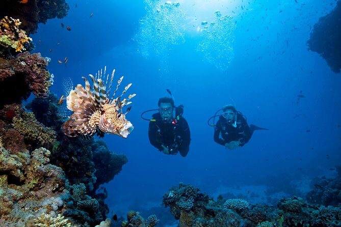 Full-Day Beginner Scuba Course with Private Tuition, Racha Yai - Stop 2: the SSS Phuket center stop during the day