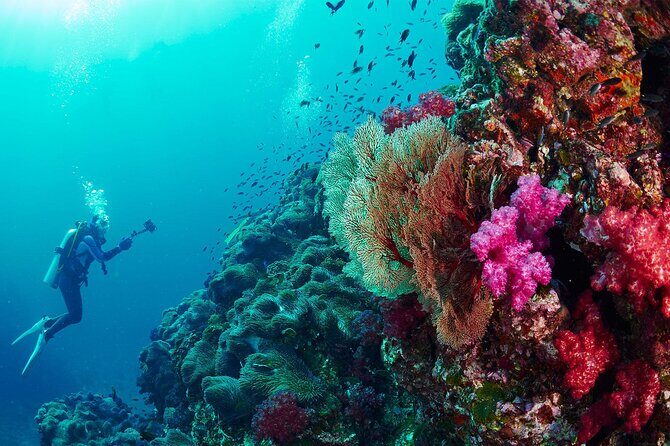 Full-Day Beginner Scuba Course with Private Tuition, Racha Yai - Boat ride reality: sea-sickness is the real villain