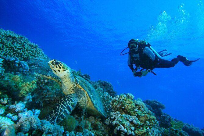Full-Day Beginner Scuba Course with Private Tuition, Racha Yai - Food, water, and the small comforts that keep you enjoying the day