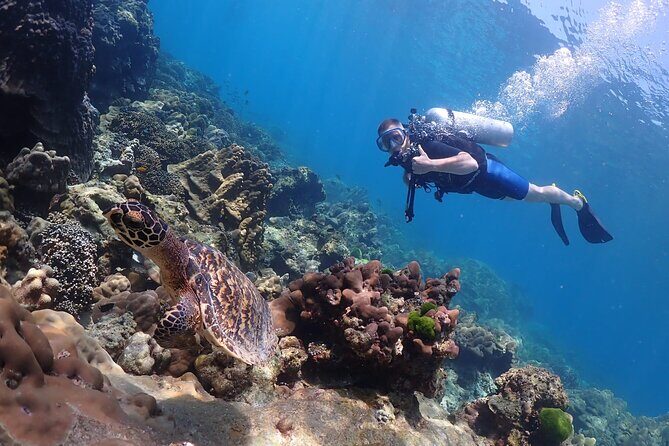 Full-Day Koh Phi Phi Scuba Diving Course from Phuket - Who should book this Koh Phi Phi scuba course