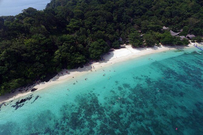 Full-Day Private Phi Phi Islands Speedboat Charter - Monkey Beach and the wildlife-view reality