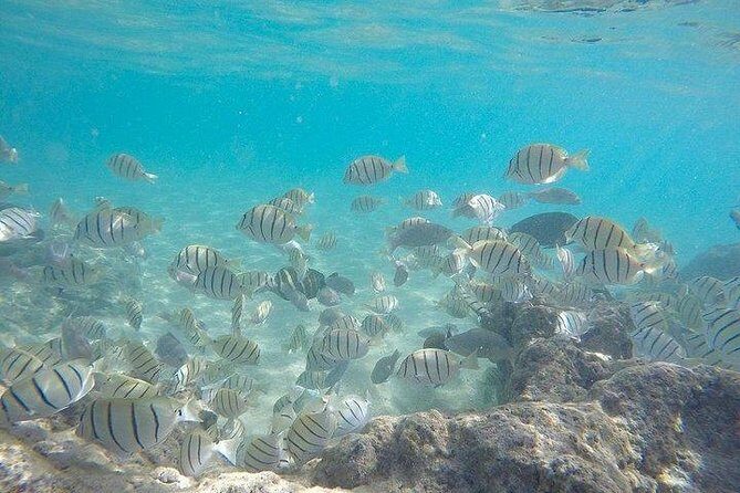 Full-Day Racha Noi and Racha Yai Snorkeling from Phuket - Breakfast on board: why this trip feeds you like it matters