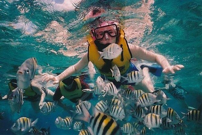 Full-Day Racha Noi and Racha Yai Snorkeling from Phuket - Koh Racha Noi: the two easier snorkel sessions